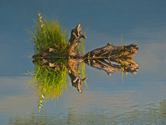 Medusa's Mirror, 2021, photography, 10.5 x 14 in. / 26.67 x 35.56 cm.