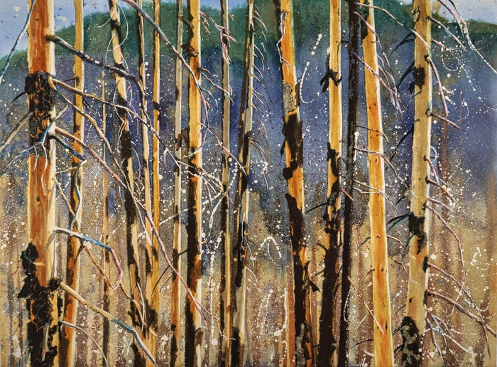 Peeled and Peeling, 2008, watercolor on paper, 22 x 30 in. / 55.88 x 76.2 cm.