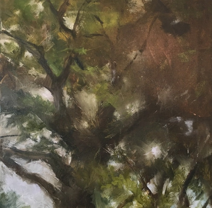 Pine Top II, 2019, oil on canvas, 20 x 20 in. / 50.8 x 50.8 cm.