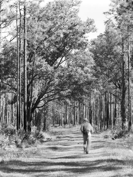 Running Alone in the Woods, 2023, silver gelatin print, 28 x 24.5 in. / 71.12 x 62.23 cm.