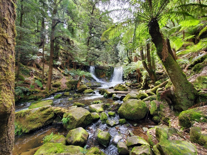 Russell Falls, Tasmania, 2019, photography, 11 x 14 in. / 27.94 x 35.56 cm.