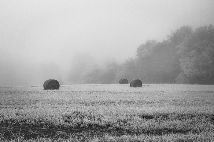 September Morning, 2022, archival pigment print, 16 x 20 in. / 40.64 x 50.8 cm.