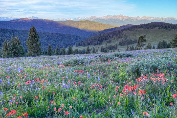 Shrine Pass, 2014, photography, 24 x 36 in. / 60.96 x 91.44 cm.