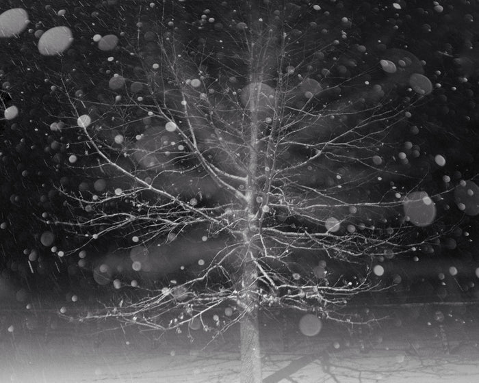 Untitled, 2021, photography, 11 x 14 in. / 27.94 x 35.56 cm.