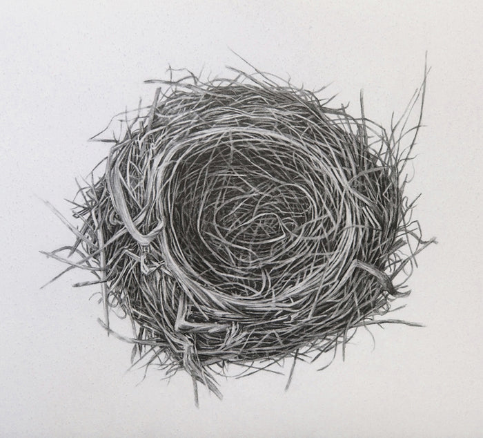 Untitled (Nest), 2017, graphite on paper, 9 x 9 in. / 22.86 x 22.86 cm.