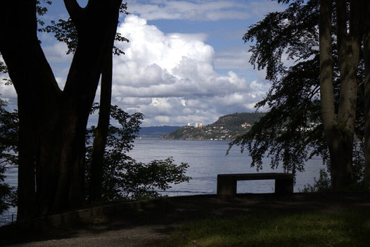 Vacant Viewpoint, 2023, digital photography, 80.32 x 53.6 in. / 204 x 136.1 cm.
