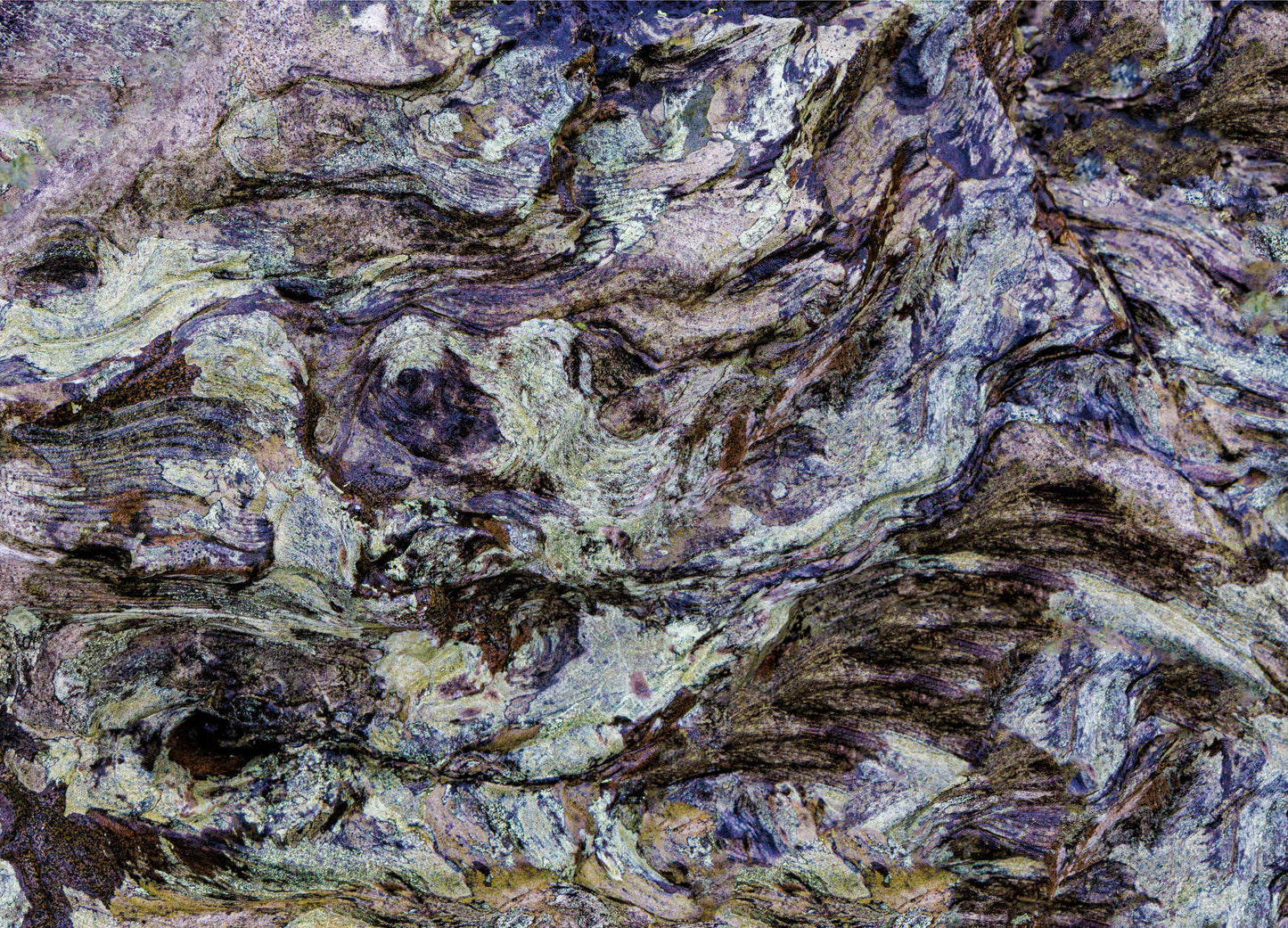 Van Gogh's Dream, 2023, photography, 16 x 20 in. / 40.64 x 50.8 cm.