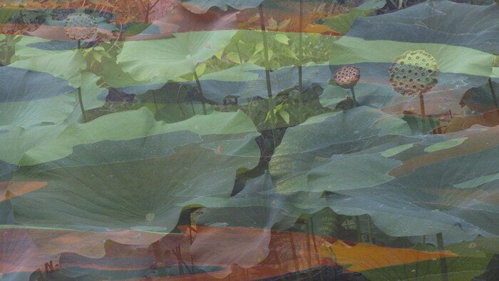 Wend, 2022, photography, 12 x 24 in. / 30.48 x 60.96 cm.