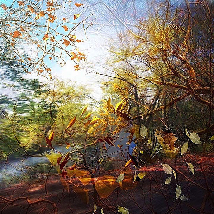 Wind, 2022, photo painting on glass, 11 x 11 in. / 27.94 x 27.94 cm.