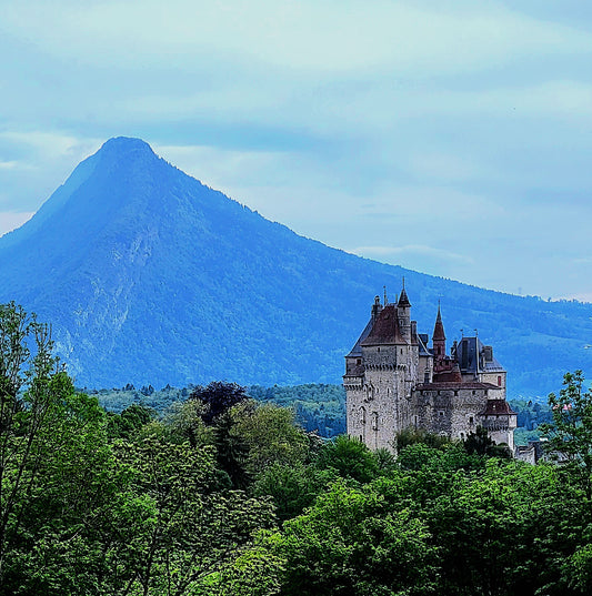 Castle in the Forest, 2023, photography, 12 x 12 in. / 30.48 x 30.48 cm.