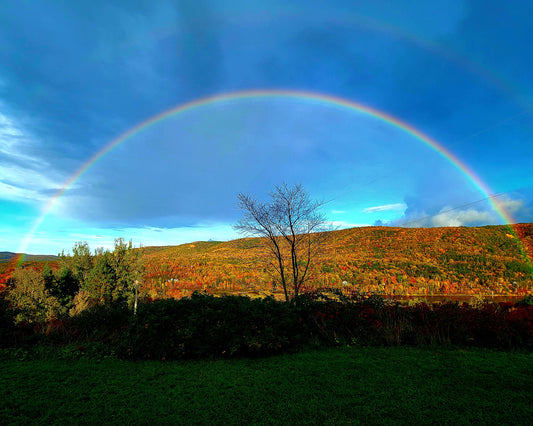 Nova Scotia Double Rainbow, 2024, photography, 8 x 10 in. / 20.32 x 25.4 cm.