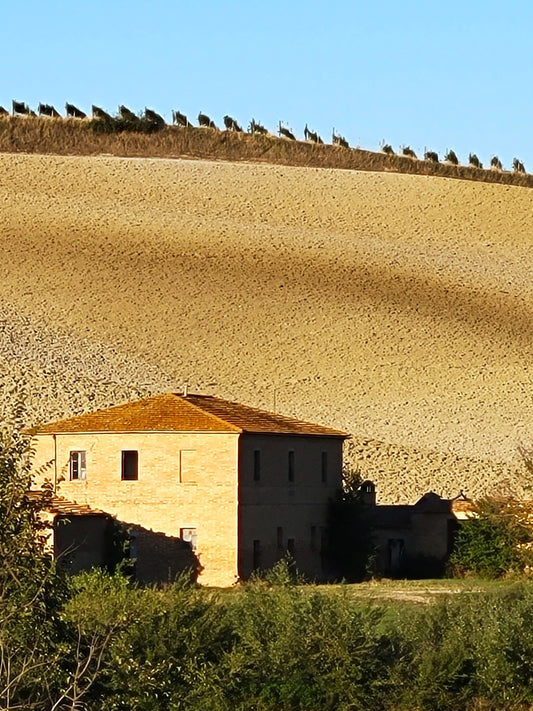 Tuscany Farmhouse with Tilled Field and Hilltop Vineyard, 2022, photography, 12 x 9 in. / 30.48 x 22.86 cm.