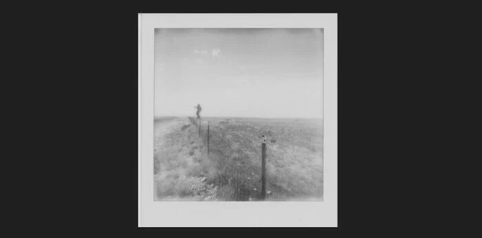 Forgotten Cowfolk, Alayne Ballantine, 2024, instant photograph, 4 x 4 in. / 10.16 x 10.16 cm.