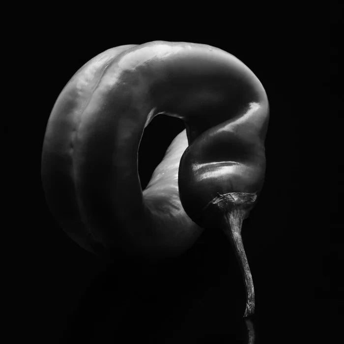 Portrait of a Pepper, Michael Holtz, 2025, photography, 18 x 18 in. / 45.72 x 45.72 cm.