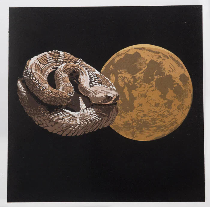 Sonoran Diary II: Rattlesnake, Cheryl Hochberg, 2025, color woodcut with screen print, 25 x 25 in. / 63.5 x 63.5 cm.