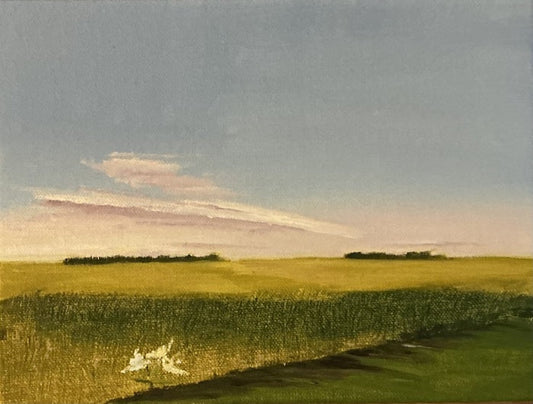 Pink Cloud Over Prairie, Janet Levy, 2026, oil on canvas, 12 x 16 in. / 30.48 x 40.64 cm.