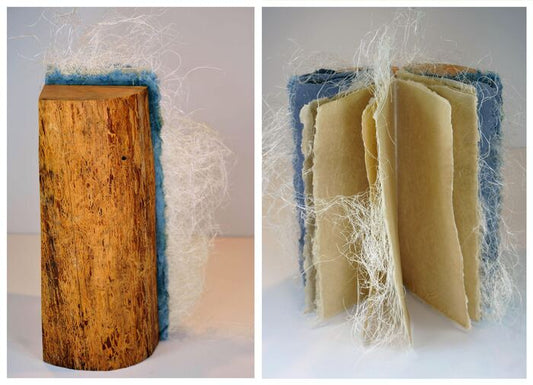 Bark Beetle Book Vol. XXXIII: Hyphae, Suze Woolf, 2020, artist book, 14 x 6 x 8 in. / 35.56 x 15.24 x 20.32 cm.