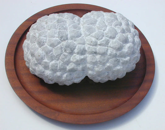 Fundamental Meal, Tanya Preminger, 2000, marble and wood, 11 x 39 x 39 cm. / 4.3 x 15.3 x 15.3 in.