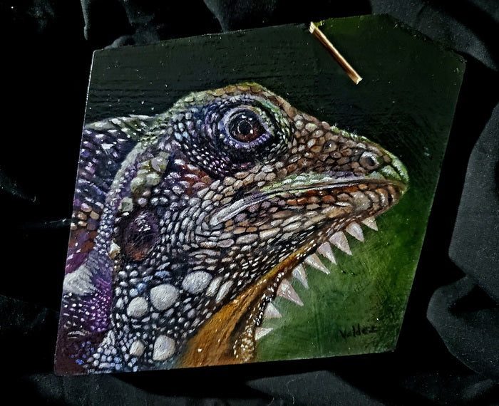 Lophosaurus, Alyssa Valdez, 2023, oil, 11 x 12 in. / 27.94 x 30.48 cm.