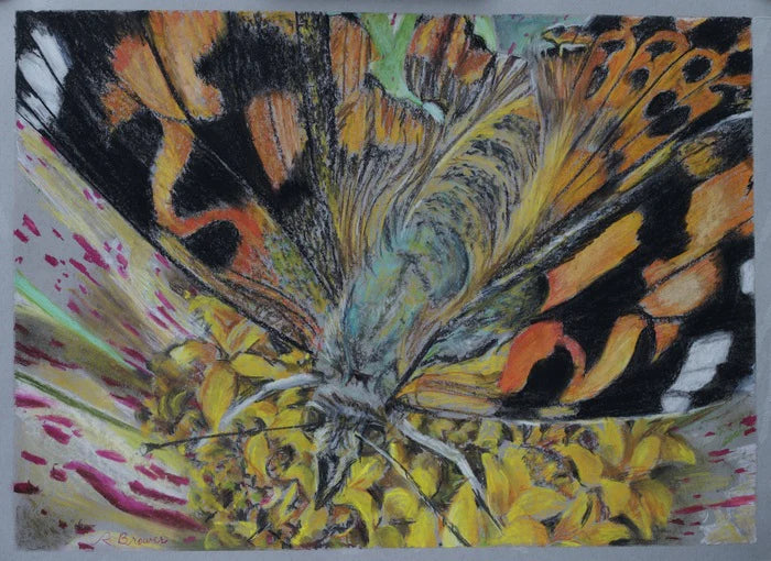 Zinnia and Painted Lady, Robyn Brower, 2024, chalk pastels, 24 x 18 in. / 60.96 x 45.72 cm.