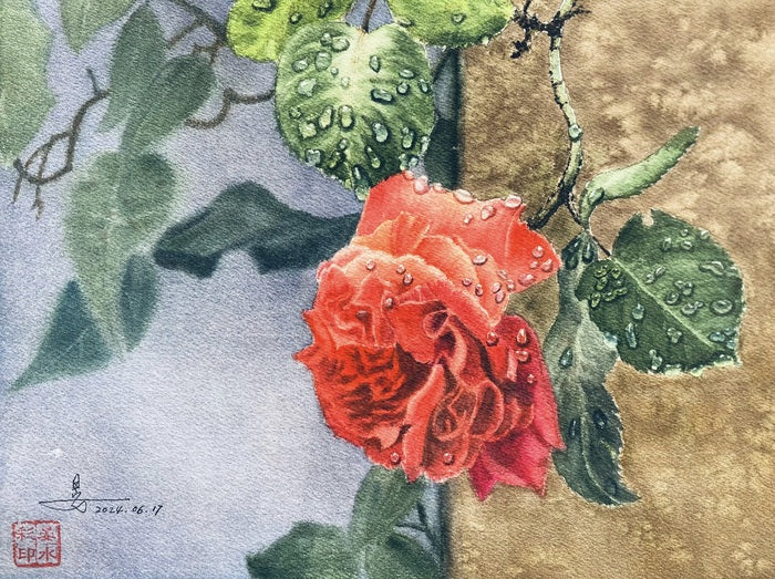 Red Roses in the Rain, Xiaoyan Zhang, 2024, watercolor on paper, 12 x 9 in. / 30.48 x 22.86 cm.