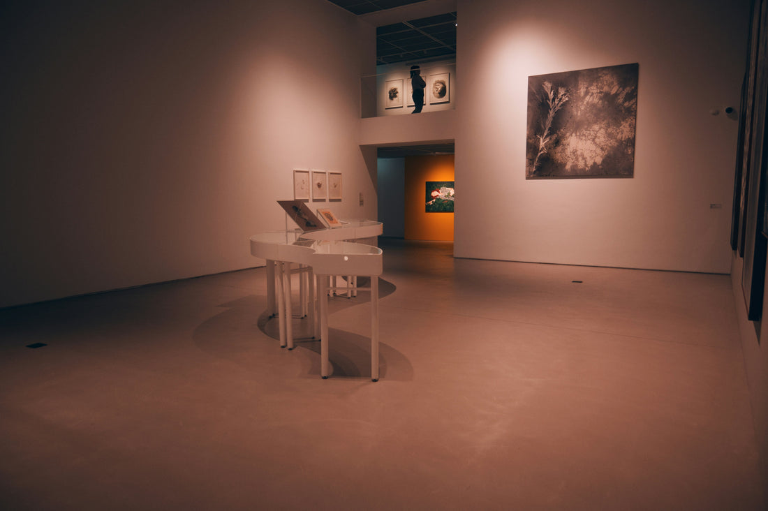 what humidity to store art