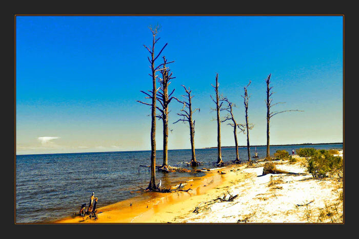 March into the Sea, Richard P. Stevens, 2022, photography, 16 x 24 in. / 40.64 x 60.96 cm.