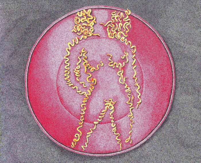 Noods, Alexander Banerjee, 2023, ink ball pen on paper, 8.5 x 12 in. / 21.59 x 30.48 cm.