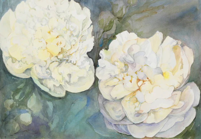 White Peonies, MaryJane Zander, 2018, watercolor, 26 x 36 in. / 66.04 x 91.44 cm.