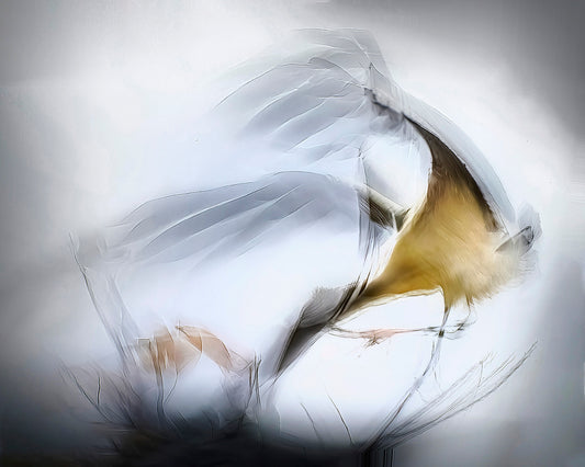 Touch, 2021, photography, 30 x 24 in. / 76.2 x 60.96 cm.