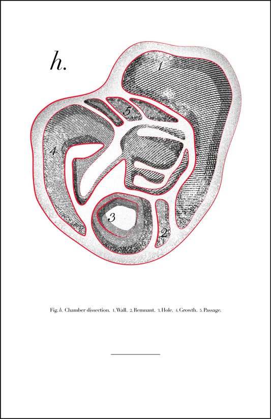 Figure H, 2025, digital drawing on giclee print, 12 x 18 in. / 30.48 x 45.72 cm.