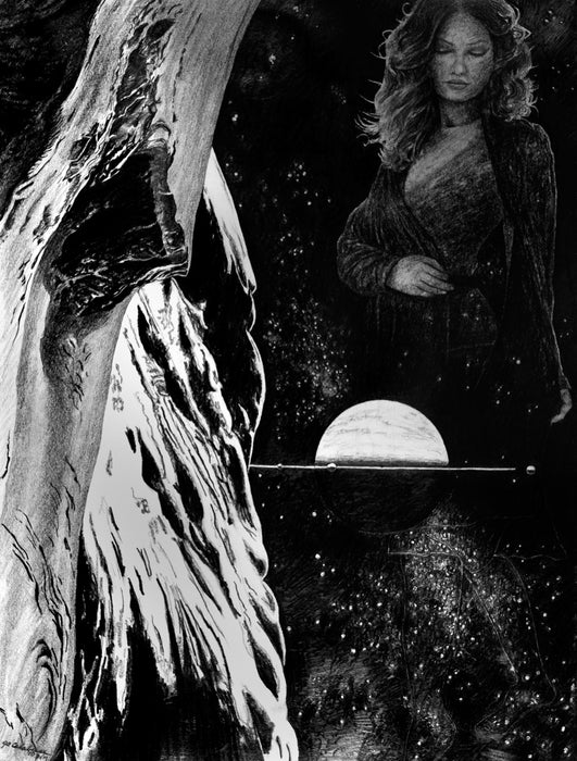 Gate of Heaven, 2010, graphite on paper, 20 x 16 in. / 50.8 x 40.64 cm.