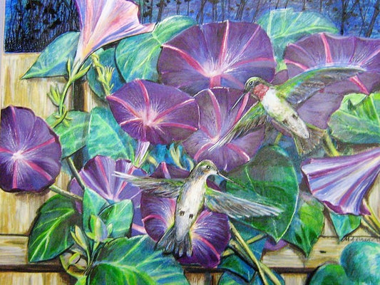 Hummingbirds & Morning Glories, 2015, watercolor and ink, 14 x 18 in. / 35.56 x 45.72 cm.