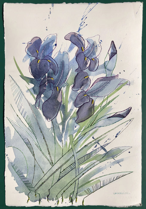 Purple Bearded Irises, 2021, mixed media, 15 x 22 in. / 38.1 x 55.88 cm.