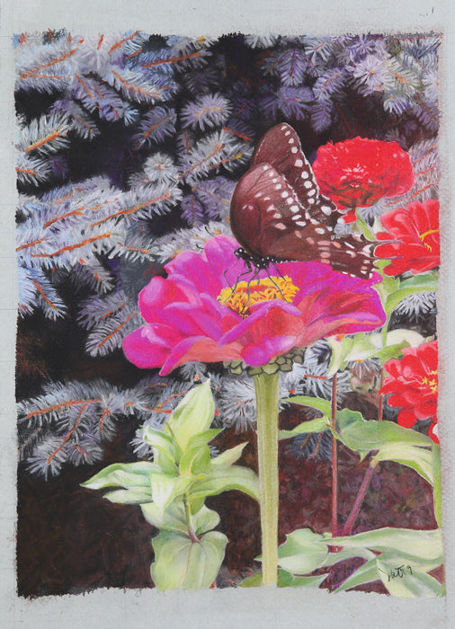 Black Swallowtail, 2019, pastel drawing, 16 x 13 in. / 40.64 x 33.02 cm.