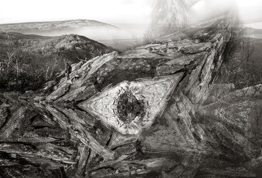 Substrata Guardian, 2021, archival pigment print, 28 x 40 in. / 71.12 x 101.6 cm.