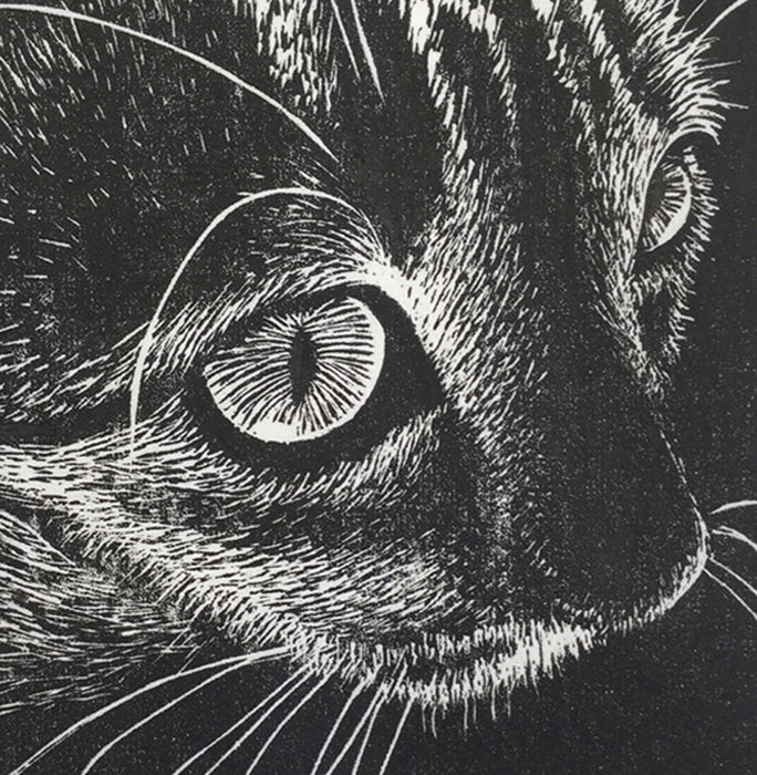 Diana's Cat, 2021, wood engraving, 3 x 3 in. / 7.62 x 7.62 cm.