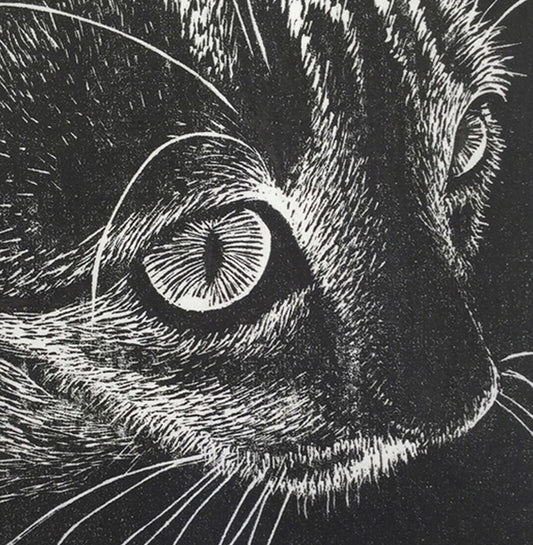 Diana's Cat, 2021, wood engraving, 3 x 3 in. / 7.62 x 7.62 cm.