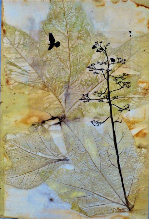 Agave & Raven, ecoprint and photography, 17 x 12 in. / 43.18 x 30.48 cm.