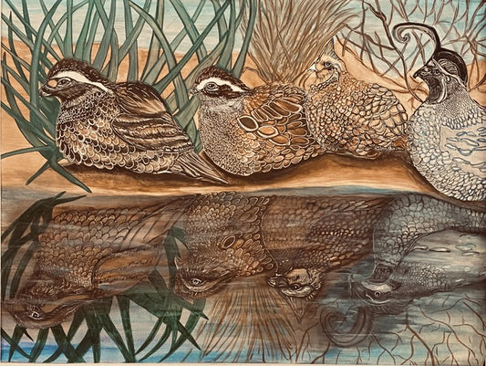 Quails of Texas, 2023, ink and watercolor, 18 x 24 in. / 45.72 x 60.96 cm.