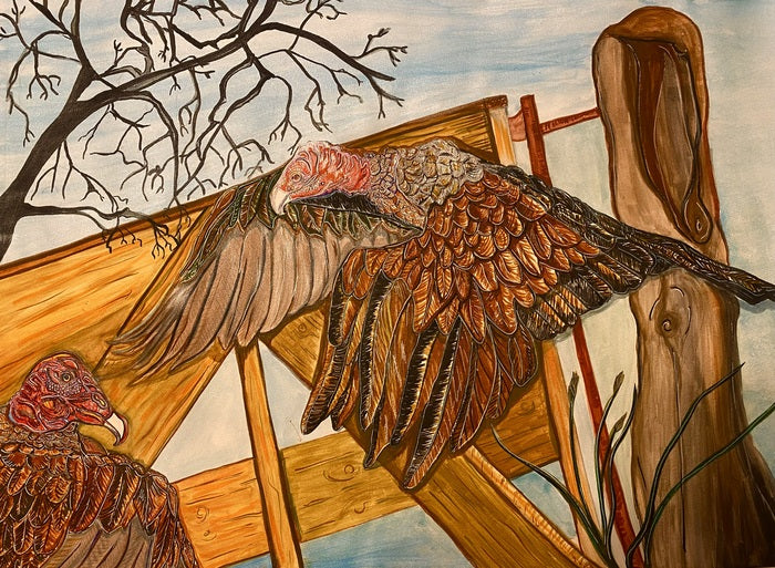Native Turkey Vultures, 2023, ink and watercolor, 18 x 24 in. / 45.72 x 60.96 cm.