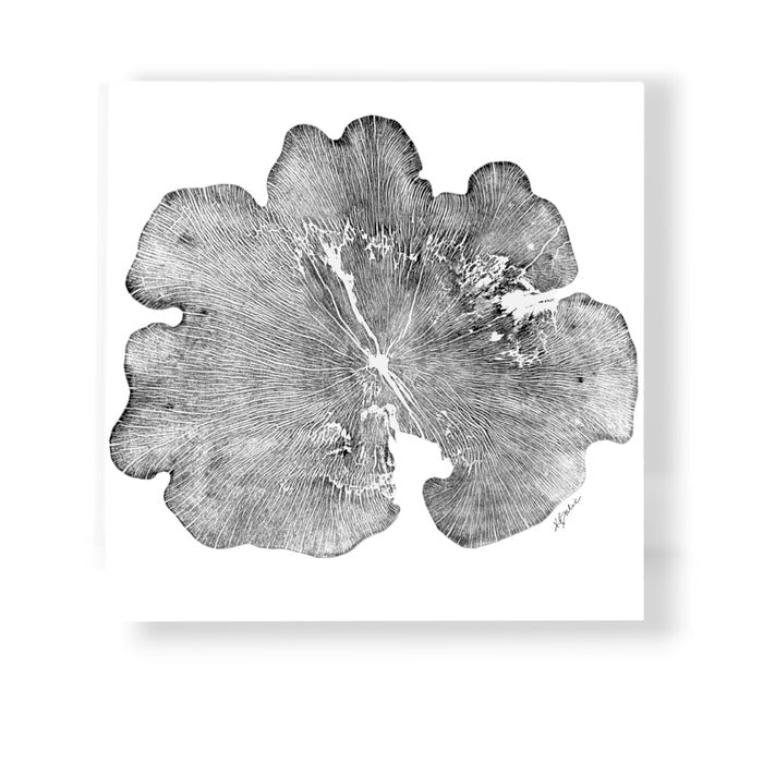 The Clover, 2023, mixed media, 40 x 32 in. / 101.6 x 81.28 cm.