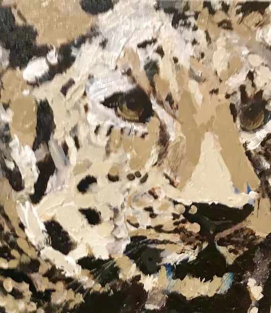 Cheetah, 2023, oil on canvas, 8 x 8 in. / 20.32 x 20.32 cm.