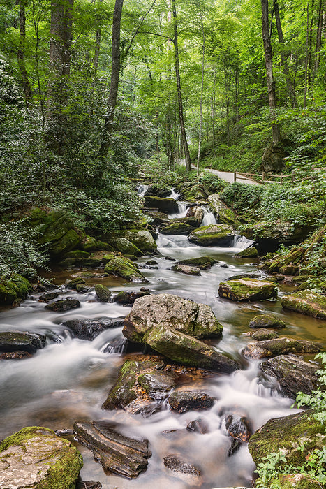 North Georga Waterfalls, 2015, photography, 14 x 11 in. / 35.56 x 27.94 cm.