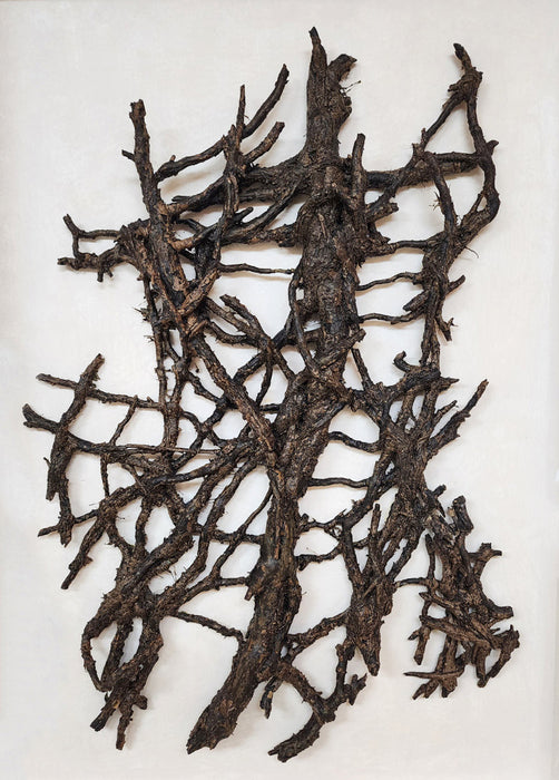 Scholar Roots 2, 2024, mixed media, 23 x 32 in. / 58.42 x 81.28 cm.