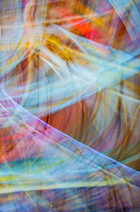 Seven Veils, 2024, photography, 16 x 14 in. / 40.64 x 35.56 cm.