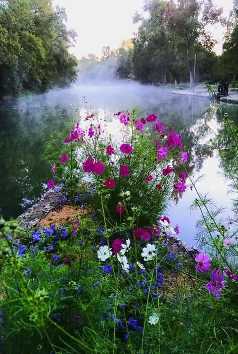 Morning Fog on the Indre River, 2016, photography, 12 x 9 in. / 30.48 x 22.86 cm.