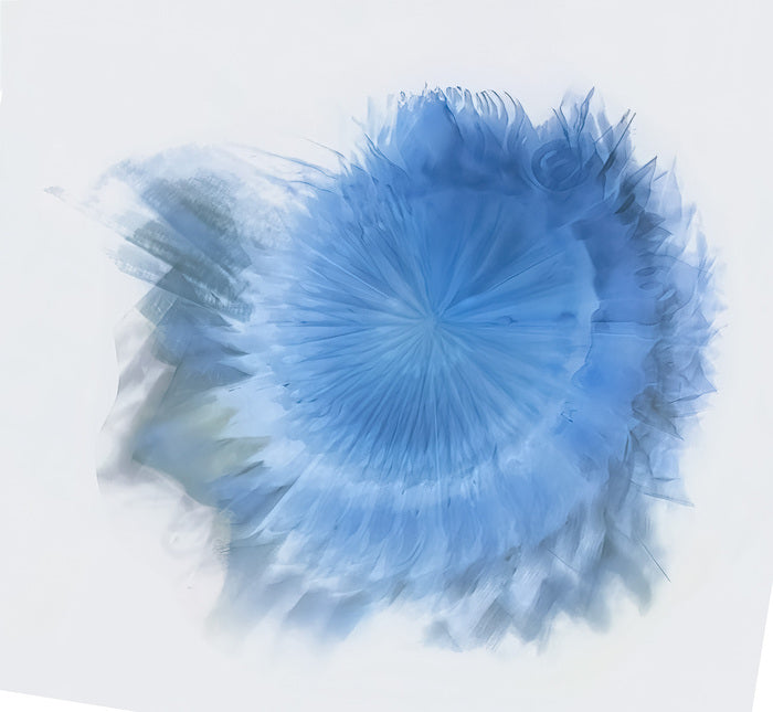 Snowflake, 2024, photography on metal, 28 x 30 in. / 71.12 x 76.2 cm.