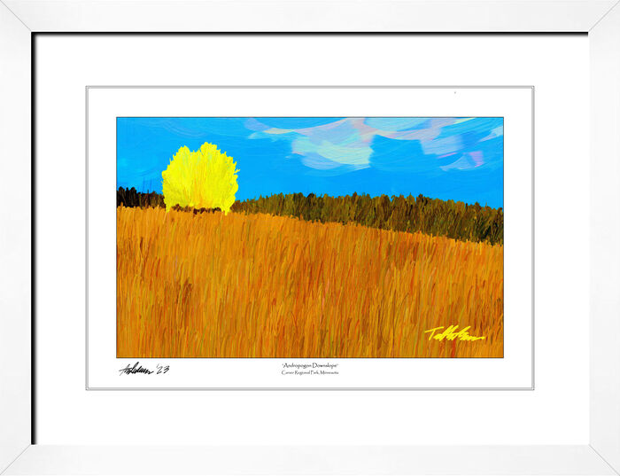 Andropogon Downslope, 2023, digital painting, 13 x 19 in. / 33.02 x 48.26 cm.