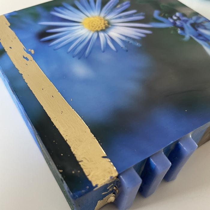 Petals of Perseverance, 2025, photography and encaustic, 4 x 4 in. / 10.16 x 10.16 cm.